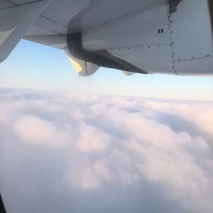 Meet your Posher, Lily